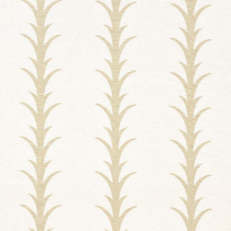 Acanthus Stripe