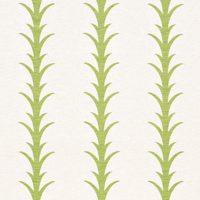 Acanthus Stripe